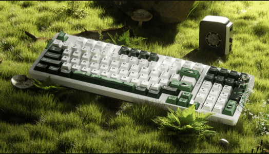 keyboard is laying on green grass